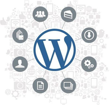 wordpress-graphic wordpress-graphic