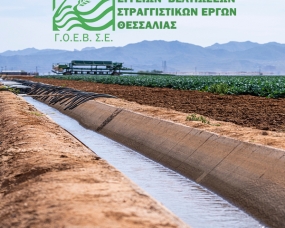 ΓΟΕΒ ΘΕΣΣΑΛΙΑΣ